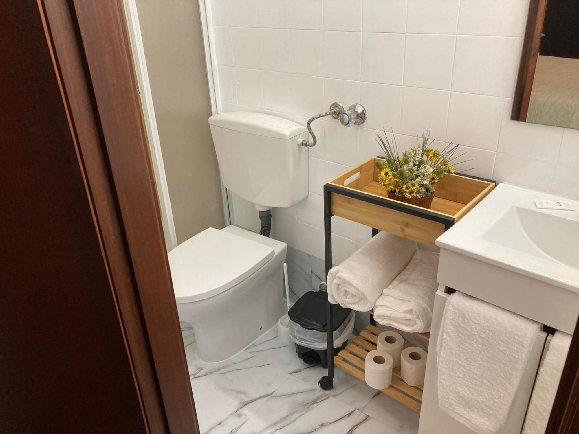 Alojamento Thermal Romano Bed & Breakfast São Pedro do Sul Eksteriør bilde